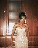 Sexy Champagne Sequin Glitters Mermaid Long Prom Dress Evening Dress HZ0311