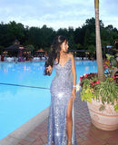 Elegant Mermaid Prom Dress Evening Dress Long Sparkly Formal Party Gowns HZ0311