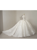 Princess Ball Gown Sweetheart Sleeveless Tulle Fitted Corset Long Wedding Dress Bridal Gown White Wedding Dresses HZ0311